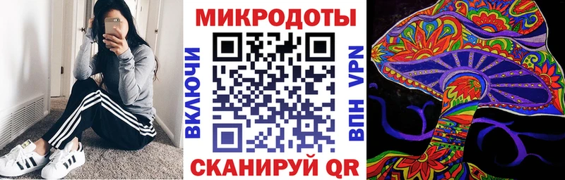 Псилоцибиновые грибы Psilocybe  что такое наркотик  Элиста 